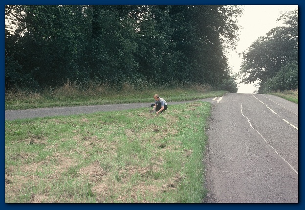 600x404 pixels (157K)